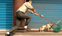 Bản tin 113 – chiều 7/1: Hai người trộm chó dùng súng điện bắn dân phòng...