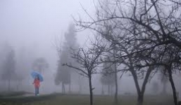 Thời tiết và cảnh báo ngày 7/1: Hà Nội sáng sớm có sương mù