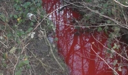 Cận cảnh dòng suối biến thành màu đỏ như máu sau một đêm