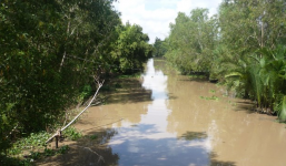 Ác phụ thả trôi sông con của người tình cũ