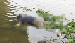 Hàng trăm người dân đến xem xác chết trong vườn tràm