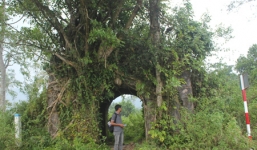 Ly kỳ chuyện rắn khổng lồ và 'Bạch hổ' ở Thọ An