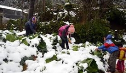 Thời tiết ngày 9/1: Nhiệt độ Miền Bắc giảm mạnh