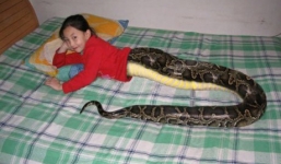 Sự thật về cô bé nửa người, nửa rắn ở Thái Lan