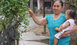 Rộ tin đồn 'Có người thả rắn lục đuôi đỏ cắn người'