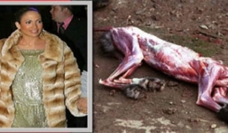 Sự thật dã man đằng sau chiếc áo lông thú