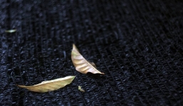 Ngất lịm khi phát hiện cảnh chồng ngoại tình với thư ký