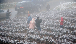 Miền Bắc lại đón rét đậm, rét hại