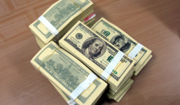 Nàng dâu tráo đô la giả, lấy gần 1 tỷ đồng của bố chồng