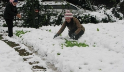 Thời tiết ngày 15/1: Nhiệt độ Miền Bắc giảm, vùng núi có mưa tuyết