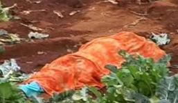 Hổ vồ chết 3 người, 45 trường học đóng cửa