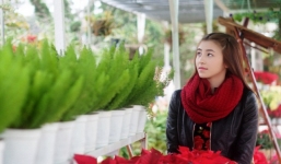 Hot girl bánh tráng trộn chào xuân Giáp Ngọ trong bộ ảnh mới