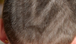 In logo lên đầu, học sinh lớp 7 bị đuổi học