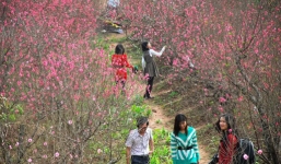 Thời tiết ấm áp trong dịp Tết Nguyên đán Giáp Ngọ 2014