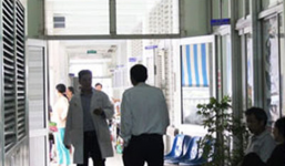 Bố Việt kiều giết con 3 tuổi rồi nhắn người đến nhận xác