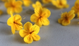 Cách làm hoa mai đón tết