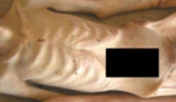 Rò rỉ hình ảnh tra tấn tù nhân khủng khiếp tại Syria