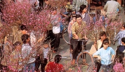 Tết Hà Nội xưa và nay