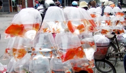 Tết ông Công, ông Táo: Cá chợ ảo đắt hàng