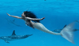 Clip: Nàng tiên cá xuất hiện tại Việt Nam