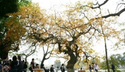 Thời tiết ngày 23/1: Miền Bắc nắng hanh