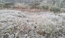 Băng tuyết bất ngờ xuất hiện tại Nghệ An