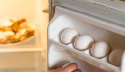 7 bước vệ sinh tủ lạnh