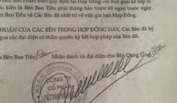 Công ty Hiệp Quang sống dở chết dở vì đối tác