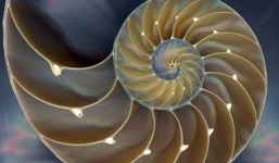 Đẹp diệu kỳ những sản phẩm kiến tạo của tự nhiên