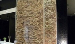 Rùng mình 'tháp xương hàm' người sau phẫu thuật thẩm mỹ