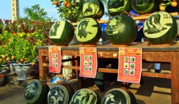 Sinh viên kiếm tiền nhờ khắc dưa hấu Tết