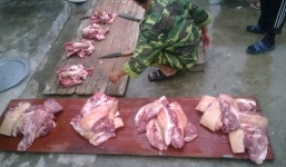 “Ăn đụng” lợn: Văn hóa vùng quê Bắc Bộ không bị mai một