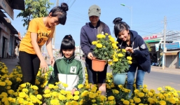 Học trò quê kinh doanh trong ngày tết