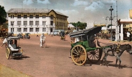 Năm Ngựa, bồi hồi tiếng vó ngựa thuở xưa