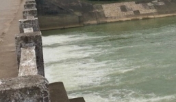 Nghi vấn một vụ giết người theo 'phiên bản Cát Tường'