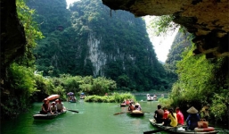 Bí ẩn về cây si nghìn tuổi ở Tràng An