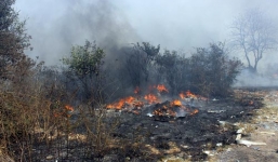 Hỏa hoạn nghiêm trọng, thiêu rụi 5 căn nhà