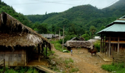 Chém vợ gần đứt lìa hai cánh tay vì không được đi xe máy