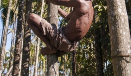 Dị nhân mọc đuôi dài 36 cm 