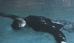 Cái chết tức tưởi của một đồng tính nam bị ép quan hệ tình dục tập thể