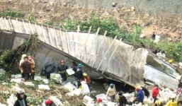 Vụ 'hôi' nhãn tại Quảng Bình: Thiệt hại khoảng 1,5 tỷ đồng