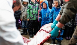 Sở thú giết hươu, xẻ thịt làm mồi cho sư tử