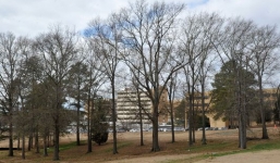 Phát hiện hơn 1.000 xác chết trong trường đại học