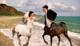 Những bức ảnh cưới bá đạo nhất thế giới