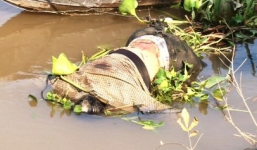 Xác chết đang phân hủy trôi trên sông