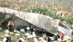 Vụ 'hôi nhãn': Giá trị lô hàng chỉ khoảng 300 triệu đồng