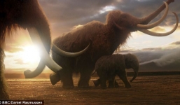 Tìm thấy ngà voi ma mút khổng lồ giữa đường phố Mỹ