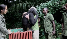 Clip: Xúc động khoảnh khắc tinh tinh chia tay ân nhân