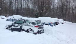 Bão tuyết phủ trắng Đông Nam nước Mỹ