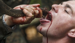 Lính Mỹ uống máu rắn, cắn đầu gà để sinh tồn tại Thái Lan